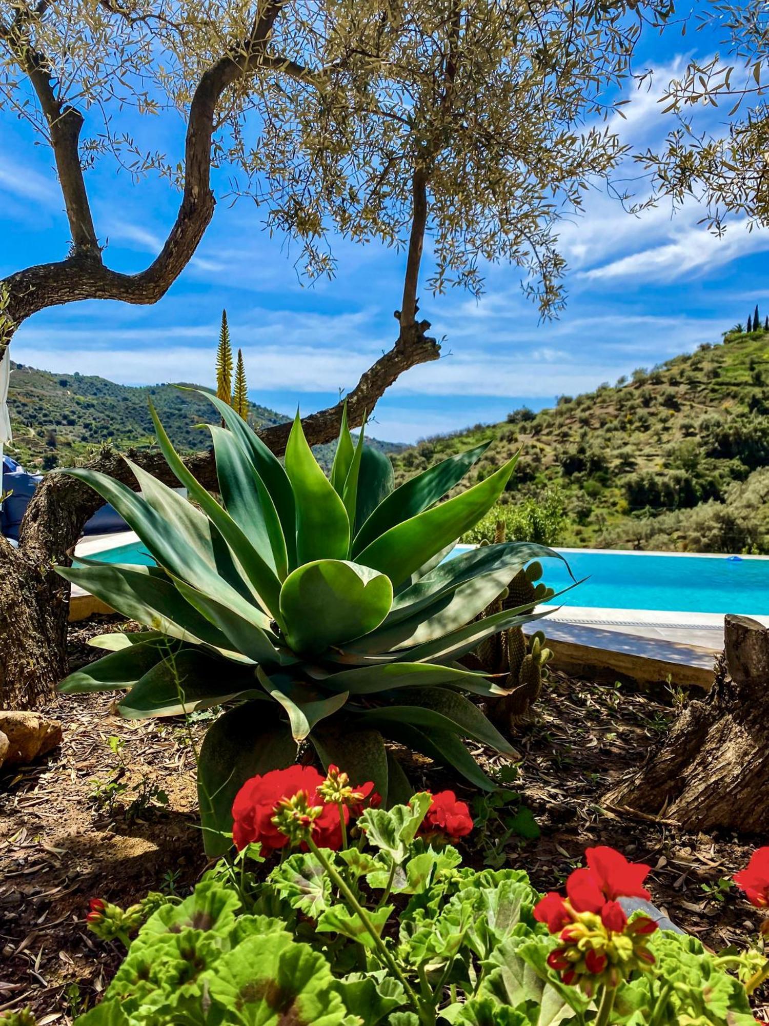 Las Filipinas, Apartment Lemoni Torrox Luaran gambar